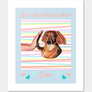 Best Dachshund Mom Ever Posters and Art